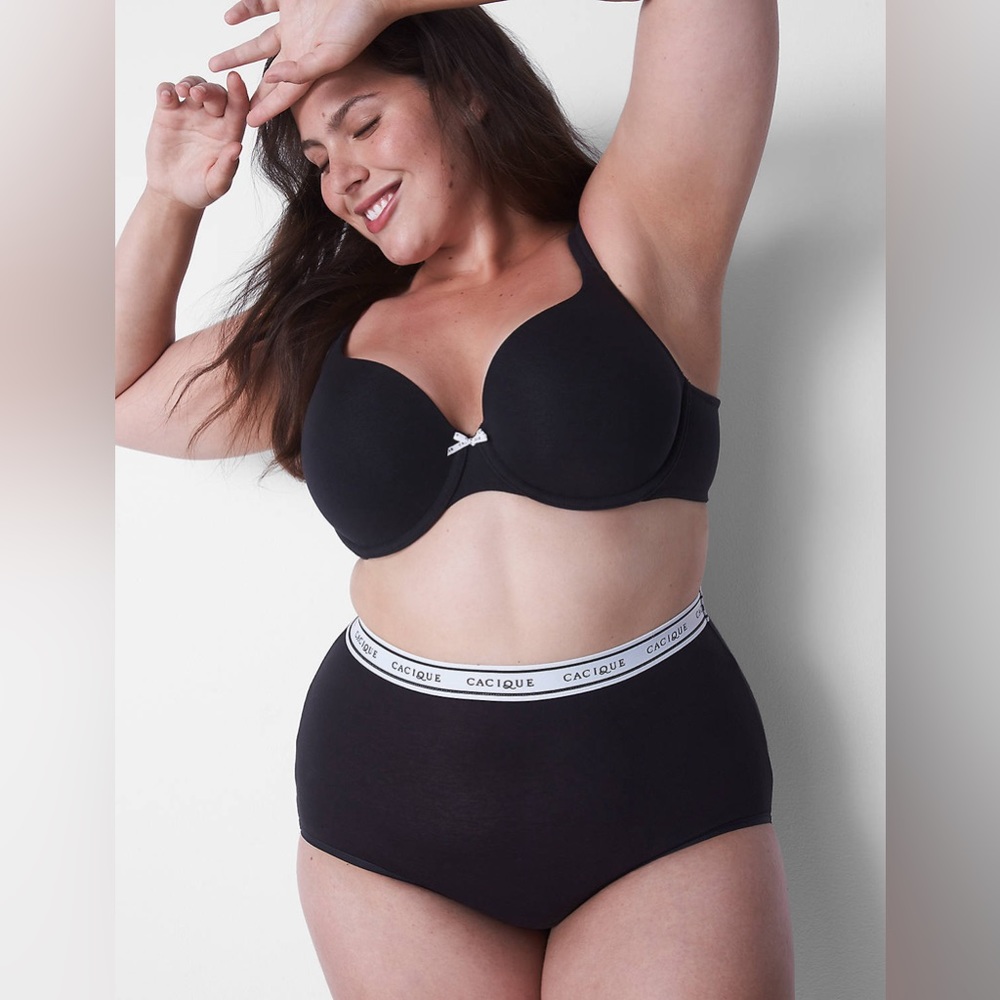 Lane Bryant Cacique Cotton High-Leg Brief Panty With Wide Waistband 22/24 NWT